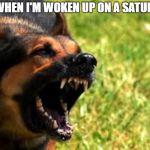 German Shepherd From Hell | ME WHEN I'M WOKEN UP ON A SATURDAY | image tagged in evil german shepherd from hell,memes,dogs,german shepherd,saturday,hell | made w/ Imgflip meme maker