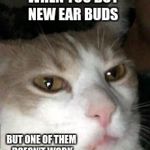 Barry the Cat  | WHEN YOU BUY NEW EAR BUDS; BUT ONE OF THEM DOESN'T WORK | image tagged in barry the cat,ear buds,relatable,cat,meme | made w/ Imgflip meme maker
