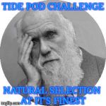 Simple proof of evolution | TIDE POD CHALLENGE; NATURAL SELECTION AT IT'S FINEST | image tagged in darwin facepalm,evolution | made w/ Imgflip meme maker
