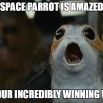 Space Parrot | SPACE PARROT IS AMAZED; BY YOUR INCREDIBLY WINNING WAYS | image tagged in space parrot | made w/ Imgflip meme maker