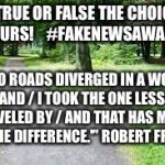 Fork in the road | TRUE OR FALSE THE CHOICE IS YOURS!
   #FAKENEWSAWARDS; "TWO ROADS DIVERGED IN A WOOD, AND / I TOOK THE ONE LESS TRAVELED BY / AND THAT HAS MADE ALL THE DIFFERENCE.'” ROBERT FROST | image tagged in fork in the road | made w/ Imgflip meme maker