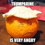 Very Angry. | TRUMPARINE; IS VERY ANGRY | image tagged in trumparine,trump,donald trump | made w/ Imgflip meme maker