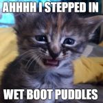 Sad Kitty | AHHHH I STEPPED IN; WET BOOT PUDDLES | image tagged in sad kitty | made w/ Imgflip meme maker