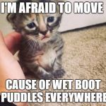 Sad kitty | I'M AFRAID TO MOVE; CAUSE OF WET BOOT PUDDLES EVERYWHERE | image tagged in sad kitty | made w/ Imgflip meme maker