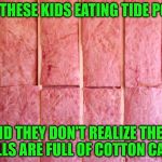 Every Kid Loves Cotton Candy | ALL THESE KIDS EATING TIDE PODS; AND THEY DON'T REALIZE THEIR WALLS ARE FULL OF COTTON CANDY | image tagged in insulation,memes,tide pods,cotton candy,what if i told you | made w/ Imgflip meme maker