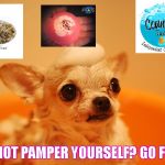 Maddie's Mucky Mutts Pamper | WHY NOT PAMPER YOURSELF? GO FOR IT! | image tagged in maddie's mucky mutts pamper | made w/ Imgflip meme maker