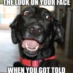 You Got Told | THE LOOK ON YOUR FACE; WHEN YOU GOT TOLD | image tagged in the look on your face,told,i told you,i was told,when you got told,they told me | made w/ Imgflip meme maker