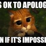 Apology Cat | IT'S OK TO APOLOGIZE; EVEN IF IT'S IMPOSSIBLE | image tagged in apology cat | made w/ Imgflip meme maker