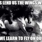 horses | HORSES LEND US THE WINGS WE LACK; UNTIL WE LEARN TO FLY ON OUR OWN | image tagged in horses | made w/ Imgflip meme maker