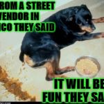DIARRHEA IN MEXICO | EAT FROM A STREET VENDOR IN MEXICO THEY SAID; IT WILL BE FUN THEY SAID! | image tagged in diarrhea in mexico | made w/ Imgflip meme maker