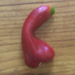 Capsicum Dick