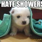 Cute puppy | I HATE SHOWERS | image tagged in cute puppy | made w/ Imgflip meme maker