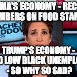 MSNBC news | OBAMA'S ECONOMY - RECORD NUMBERS ON FOOD STAMPS; TRUMP'S ECONOMY - RECORD LOW BLACK UNEMPLOYMENT - SO WHY SO SAD? | image tagged in msnbc news | made w/ Imgflip meme maker