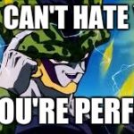 cell | SHE CAN'T HATE YOU; IF YOU'RE PERFECT | image tagged in cell | made w/ Imgflip meme maker