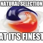 Gotta weed out the idiots somehow | NATURAL SELECTION; AT IT'S FINEST | image tagged in tide pod,memes | made w/ Imgflip meme maker