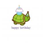 Birthday Turtle