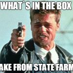 brad pitt whats in the box | WHAT`S IN THE BOX; JAKE FROM STATE FARM! | image tagged in brad pitt whats in the box | made w/ Imgflip meme maker