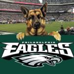 Eagles underdog