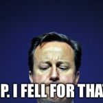 Cameron ashamed | YEP. I FELL FOR THAT... | image tagged in cameron ashamed | made w/ Imgflip meme maker