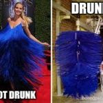 the right side is me | DRUNK; NOT DRUNK | image tagged in who wore it better,memes,funny | made w/ Imgflip meme maker