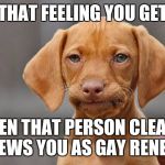 Unimpressed Vizsla | THAT FEELING YOU GET; WHEN THAT PERSON CLEARLY VIEWS YOU AS GAY RENEE... | image tagged in unimpressed vizsla | made w/ Imgflip meme maker