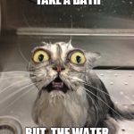 Mad cat | WHEN YOU TAKE A BATH; BUT  THE WATER WAS WAY TO COLD | image tagged in mad cat | made w/ Imgflip meme maker