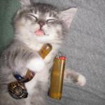 Cat Smoking