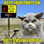 Just in case... | KEEP YOUR PANTS ON; OR IT'S NSFW FOR YOU | image tagged in imgflip sorry with pompous cat | made w/ Imgflip meme maker