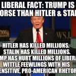 Liberal logic Trump Derangement syndrome | LIBERAL FACT: TRUMP IS WORSE THAN HITLER & STALIN; HITLER HAS KILLED MILLIONS.  STALIN HAS KILLED MILLIONS.  TRUMP HAS HURT MILLIONS OF LIBERALS WITTLE FEEWLINGS WITH HIS INSENSITIVE, PRO-AMERICAN RHETORIC | image tagged in liberal logic trump derangement syndrome | made w/ Imgflip meme maker