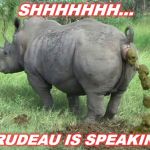 Speech by Justin Trudeau | SHHHHHHH... TRUDEAU IS SPEAKING | image tagged in rino,justin trudeau,trudeau | made w/ Imgflip meme maker