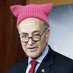 Schumer pink pussy hat