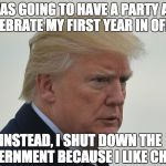 Donald Trump | I WAS GOING TO HAVE A PARTY AND CELEBRATE MY FIRST YEAR IN OFFICE; INSTEAD, I SHUT DOWN THE   GOVERNMENT BECAUSE I LIKE CHAOS! | image tagged in donald trump | made w/ Imgflip meme maker