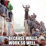 The Wall | BECAUSE WALLS WORK SO WELL... | image tagged in berlin wall fallen | made w/ Imgflip meme maker