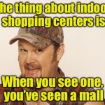 Larry the Pun Guy | The thing about indoor shopping centers is; When you see one, you’ve seen a mall | image tagged in now that's funny right there,memes,bad pun,funny meme | made w/ Imgflip meme maker