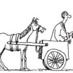 cart before the horse