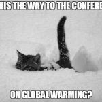 Notice they never mention global warming...I mean climate change...when it's below zero. | IS THIS THE WAY TO THE CONFERENCE; ON GLOBAL WARMING? | image tagged in snow cat,global warming,climate change,funny memes,liberal hypocrisy | made w/ Imgflip meme maker