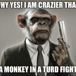 Chimpanzee with Gun | WHY YES! I AM CRAZIER THAN; A MONKEY IN A TURD FIGHT | image tagged in chimpanzee with gun | made w/ Imgflip meme maker