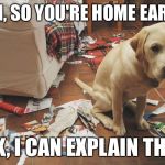 Ashamed dog | OH, SO YOU'RE HOME EARLY; OK, I CAN EXPLAIN THIS | image tagged in ashamed dog | made w/ Imgflip meme maker