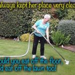Gotta love Grandma! | Grandma always kept her place very clean and tidy; Not only could you eat off the floor, you could eat off the lawn too! | image tagged in grandma vacuuming yard,memes,evilmandoevil,funny | made w/ Imgflip meme maker