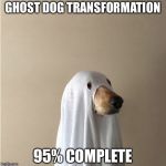 Ghost Doge | GHOST DOG TRANSFORMATION; 95% COMPLETE | image tagged in ghost doge,theme week | made w/ Imgflip meme maker