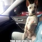 THAT AWKWARD MOMENT WHEN; YOUR MOM OPENS THE CAR DOOR WHILE YOU ARE MAKING OUT WITH YOUR GIRL | image tagged in funny dog | made w/ Imgflip meme maker