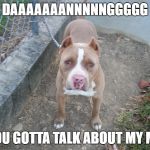 Michael the dog | DAAAAAAANNNNNGGGGG; WHY YOU GOTTA TALK ABOUT MY MOMMA | image tagged in michael the dog | made w/ Imgflip meme maker