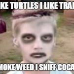 I like turtles | I LIKE TURTLES I LIKE TRAINS; I SMOKE WEED I SNIFF COCAINE | image tagged in i like turtles | made w/ Imgflip meme maker