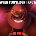 Ugandan Knuckles | WHEN PEOPLE DONT KNOW; DE WEY | image tagged in ugandan knuckles | made w/ Imgflip meme maker