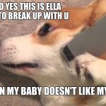 Corgi on the phone  | DOG: HELLO YES THIS IS ELLA I WILL LIKE TO BREAK UP WITH U; ELLA: WHEN MY BABY DOESN'T LIKE MY NEW BF | image tagged in corgi on the phone | made w/ Imgflip meme maker