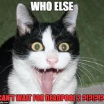 sometime in May! | WHO ELSE; CAN'T WAIT FOR DEADPOOL 2 ?!?!?!?! | image tagged in excited cat,deadpool,deadpool 2 | made w/ Imgflip meme maker