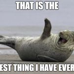 laughing seal | THAT IS THE; SEALIEST THING I HAVE EVER SEEN | image tagged in laughing seal | made w/ Imgflip meme maker