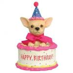 Chihuahua Birthday