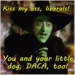 Wicked Witch: Kiss my ass liberals | Kiss my ass, liberals! You and your little dog, DACA, too! | image tagged in wicked witch of the west,daca,liberals,kiss ass | made w/ Imgflip meme maker