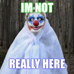 You are not seeing the big picture | IM NOT; REALLY HERE | image tagged in blue eye clow clow,clown man,funny memes | made w/ Imgflip meme maker